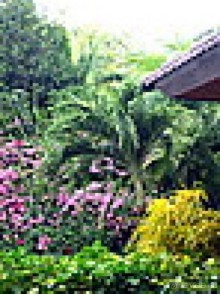 Отель выше всех похвал, не 3 а 5 звезд