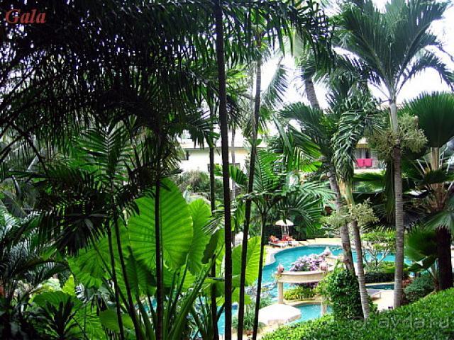 фото Peach Hill Hotel & Resort