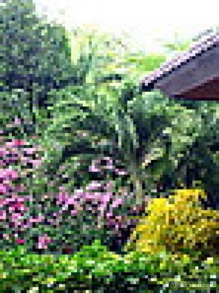 Отель выше всех похвал, не 3 а 5 звезд