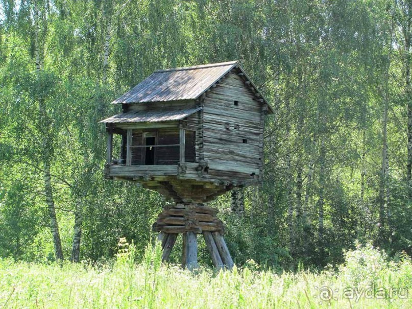 Альбом отзыва "В поисках истории (Кострома) - часть 3."