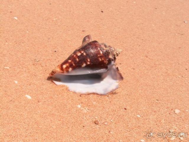 фото Otium Pyramisa Beach Resort Sahl Hasheesh