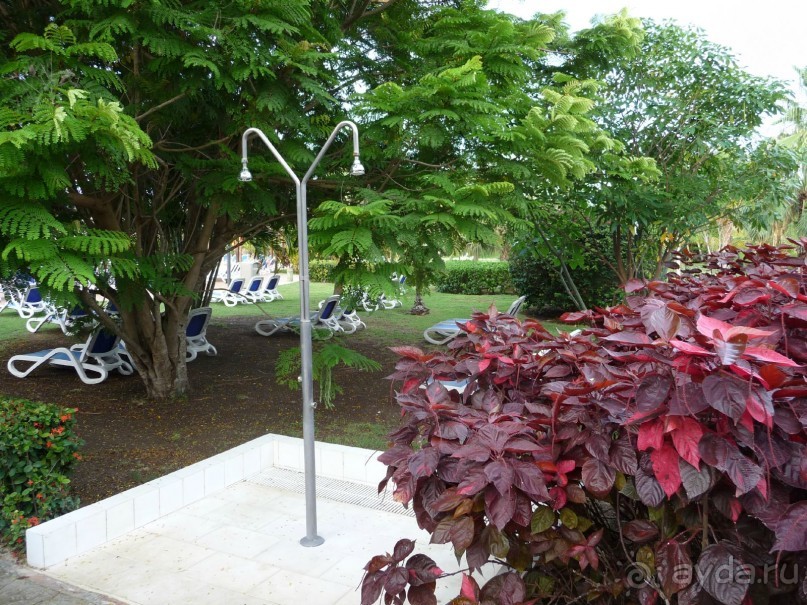 нормальный отель с отличным пляжем