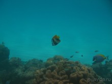 рай на земле