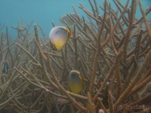 рай на земле