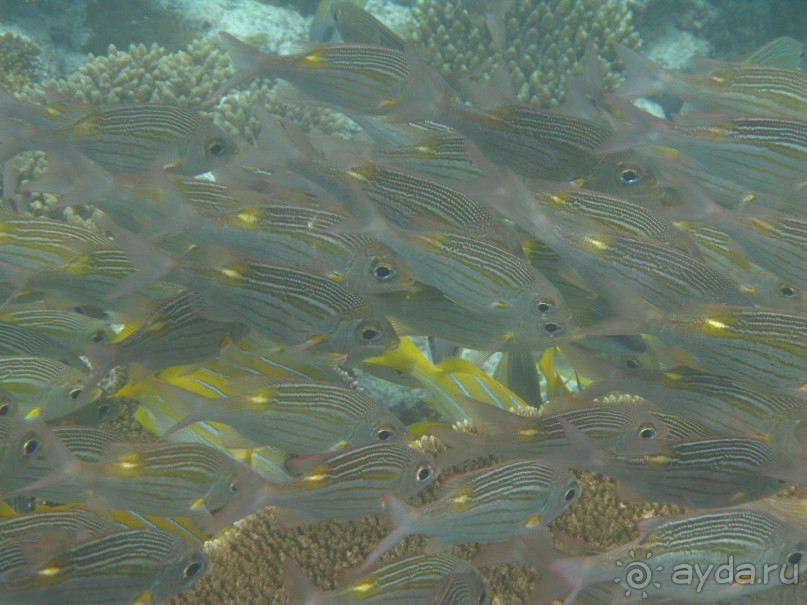 рай на земле