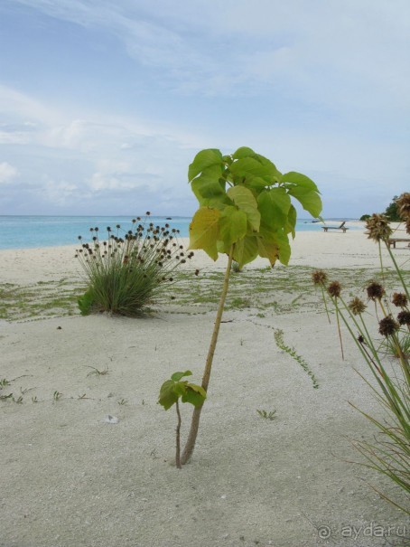 рай на земле