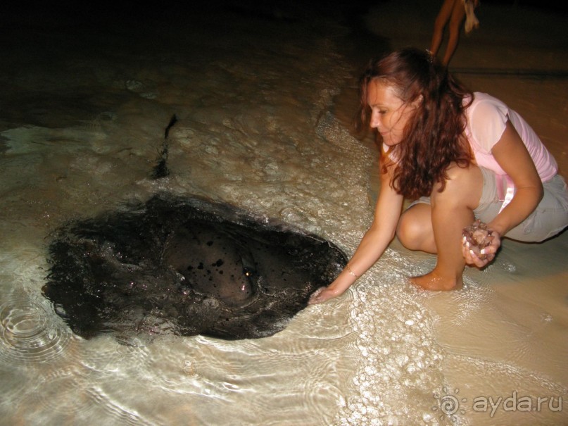 рай на земле