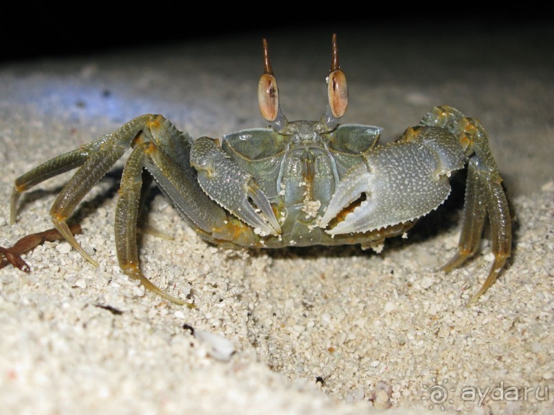 рай на земле