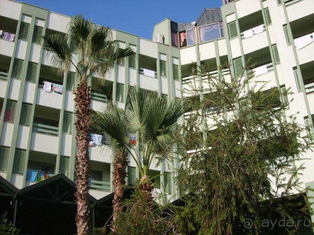 фото Ananas Hotel