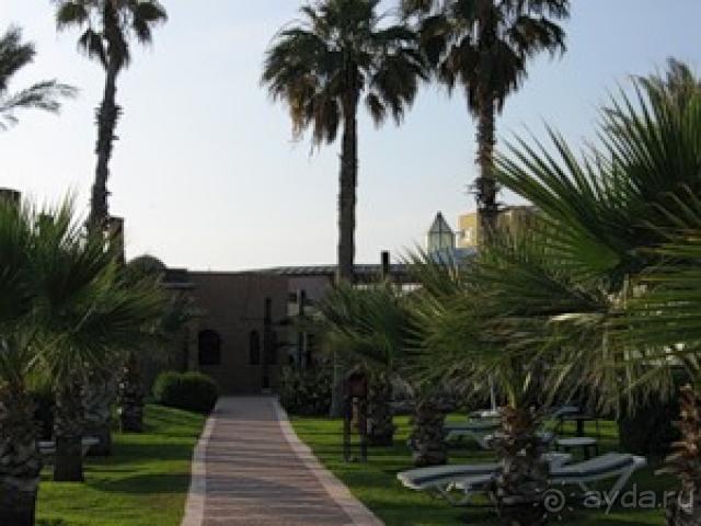 Добавляю фото