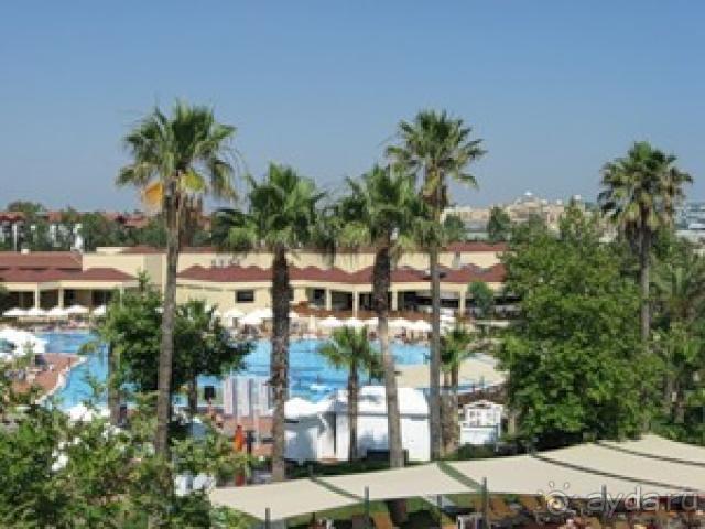 Добавляю фото