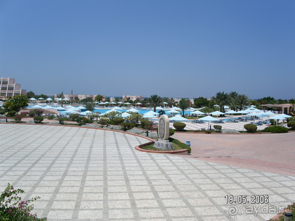 Мелия Мелия