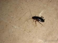 Отвратительно все, от питания до обслуживания!!!!!