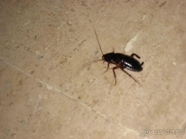 Отвратительно все, от питания до обслуживания!!!!!