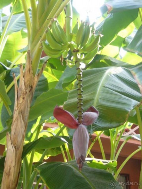 Незабываемый отель для отличного отдыха!!!