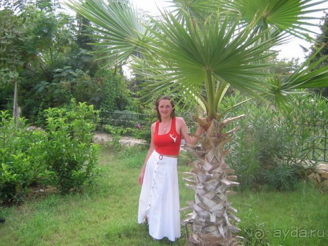 фото Sun Star Beach Hotel