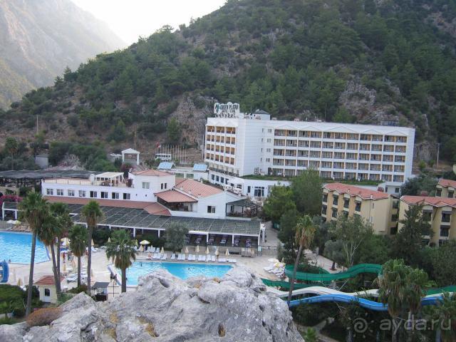 Вся правда о GREEN_PLATAN