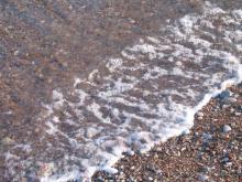 Вся правда о GREEN_PLATAN