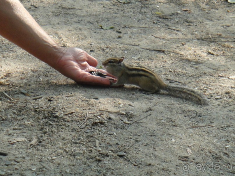 Путешествие к бирюзовой Катуни