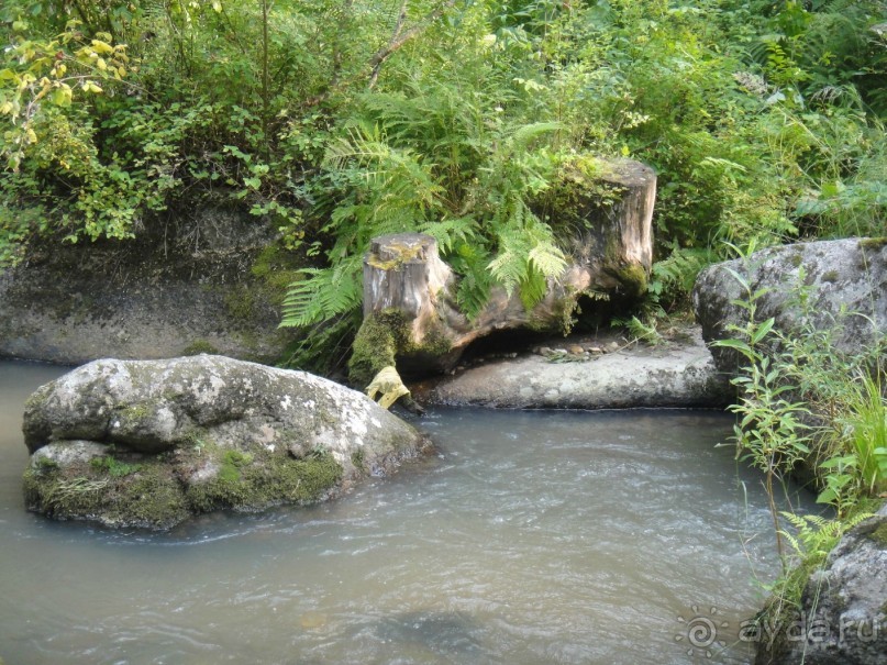 Путешествие к бирюзовой Катуни