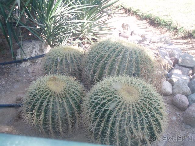 Хороший отдых