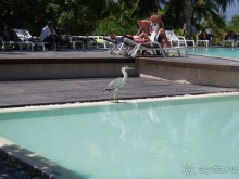 фото Adaaran Select Hudhuran Fushi 