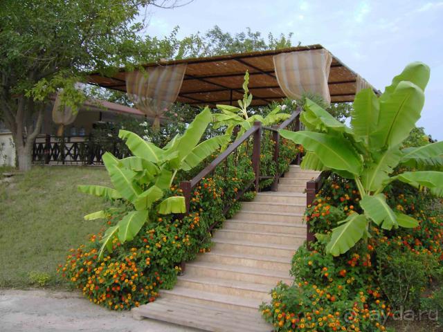 бар на пляже