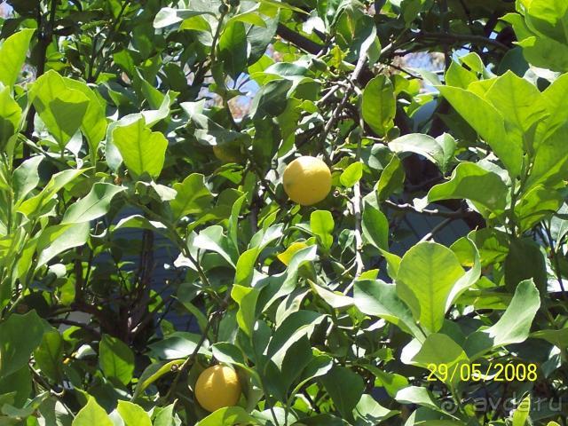 В общем- понравилось! Особенно детям!