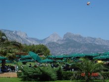 фото Gypsophila Club Marine