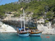 фото Gypsophila Club Marine