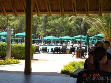 фото Gypsophila Club Marine