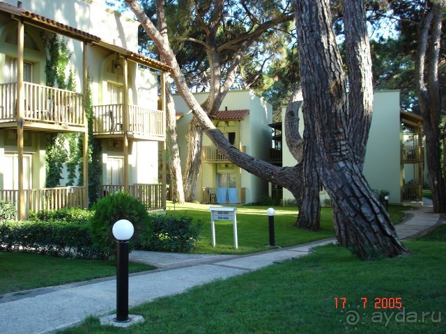 Территория