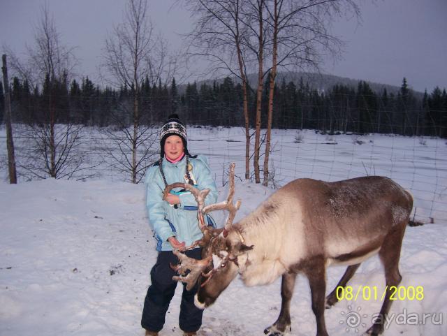 Леви 2007