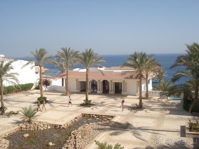 фото Tokyo Prince