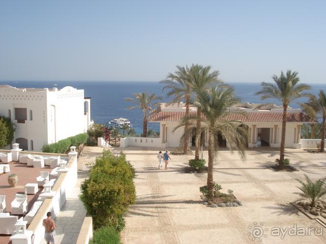 фото Tokyo Prince