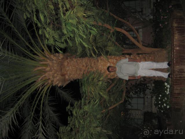 фото Aladdin Beach Resort