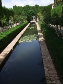 Хенералифе — бывшая загородная резиденция султанов династии Насридов, правивших Гранадой в XIII—XIV веках. Хенералифе включены в список Всемирного наследия ЮНЕСКО как «бесценный пример королевских арабских резиденций средневекового периода». (Википедия)

