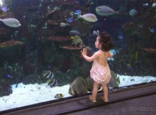 Барселона. "Аквариум".