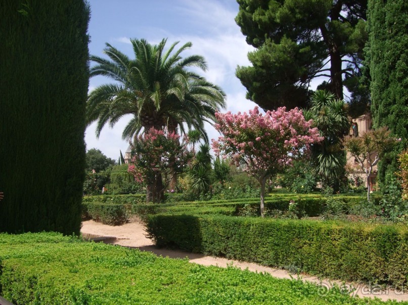 Альгамбра и сады Хенералифе. 