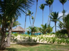 Доминикана: Grand Palladium 5* в сравнении с Barcelo Bavaro Palace Deluxe 5* сильно проигрывает.
