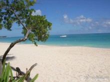 Доминикана: Grand Palladium 5* в сравнении с Barcelo Bavaro Palace Deluxe 5* сильно проигрывает.