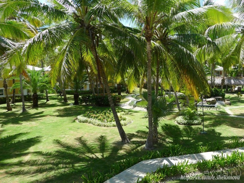 Доминикана: Grand Palladium 5* в сравнении с Barcelo Bavaro Palace Deluxe 5* сильно проигрывает.