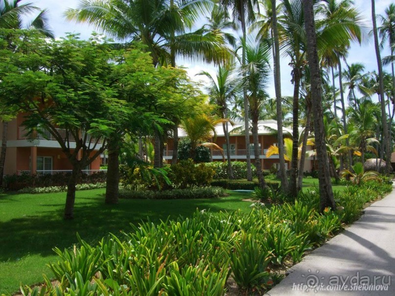 Доминикана: Grand Palladium 5* в сравнении с Barcelo Bavaro Palace Deluxe 5* сильно проигрывает.