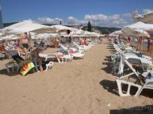 фото Акация