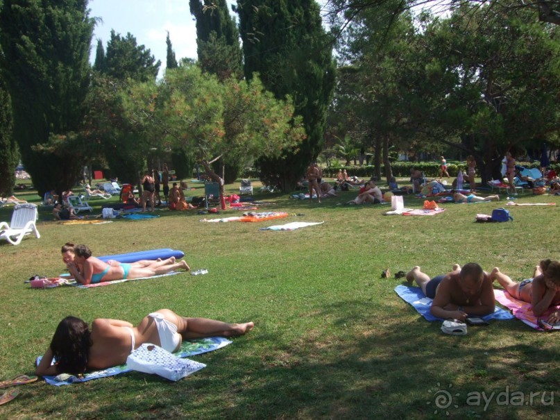 Пляж отеля "Laguna Materada" 3*. Хорватия. Пореч.