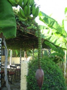 Отель для семейного отдыха