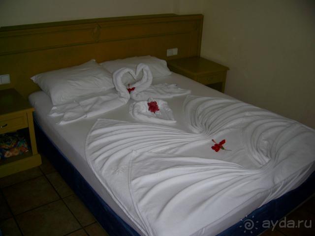 Те самые лебеди