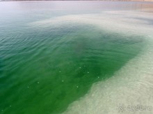 Идеальный вариант отдыха на мёртвом море