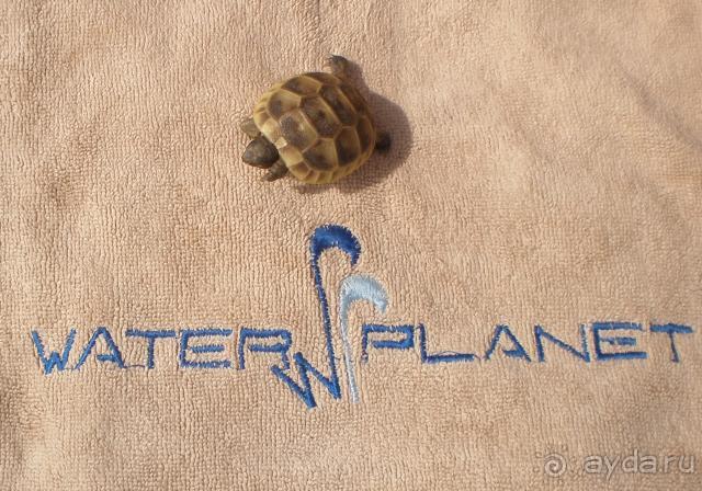 фото A Good Life Utopia Family Resort