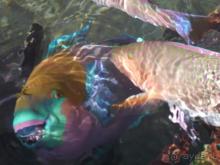 фото Al Bostan Park Hotel